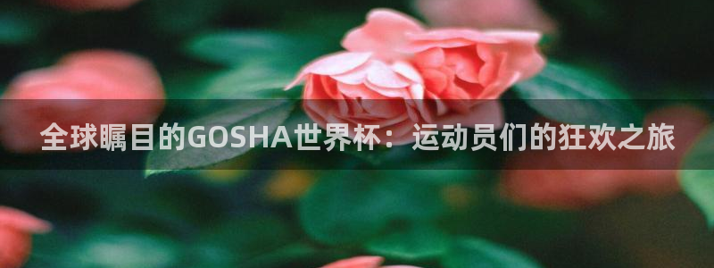2026世界杯亚洲区预选赛：全球瞩目的GOSHA世界杯：运动员们的狂欢之旅