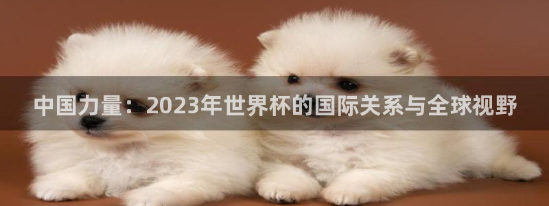西超杯直播:中国力量:2023年世界杯的国际关系与全球视野
