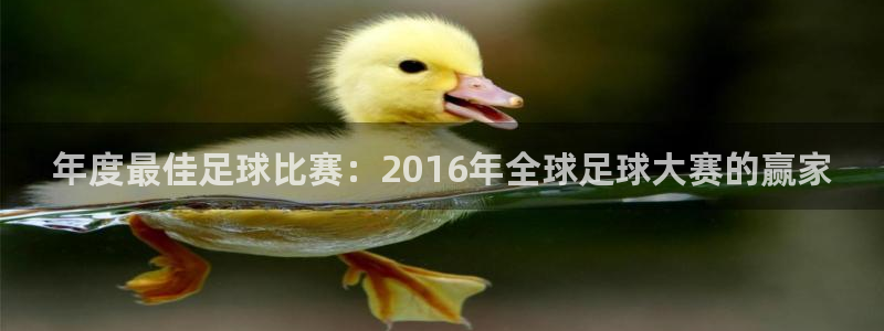 2026世界杯倒计时:年度最佳足球比赛:2016年全球足球大赛的赢家