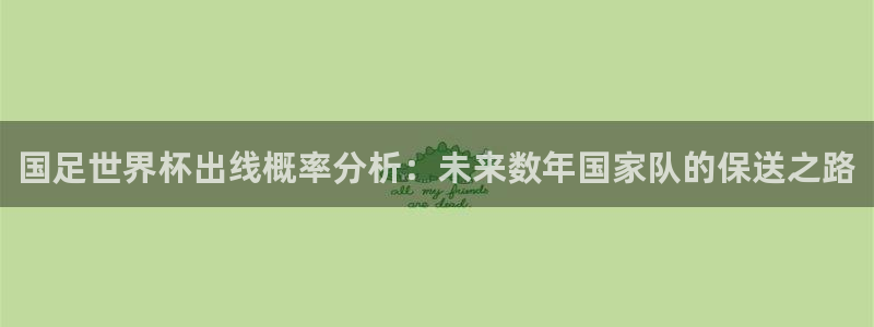今年世界杯:国足世界杯出线概率分析:未来数年国家队的保送之路