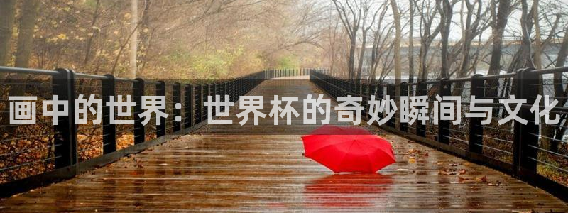 世界杯亚洲区预选赛积分榜：画中的世界：世界杯的奇妙瞬间与文化