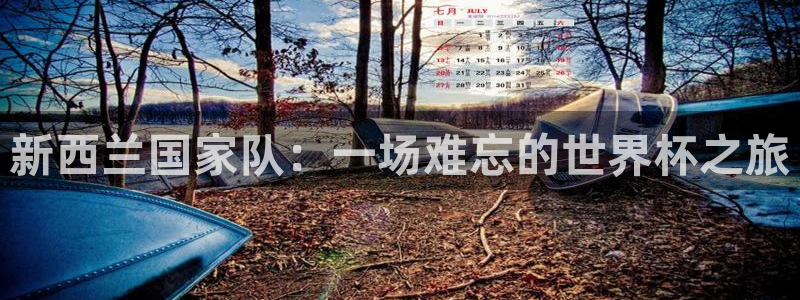 世界杯预选赛：新西兰国家队：一场难忘的世界杯之旅