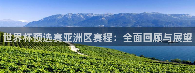 世界杯预选赛排名：世界杯预选赛亚洲区赛程：全面回顾与展望