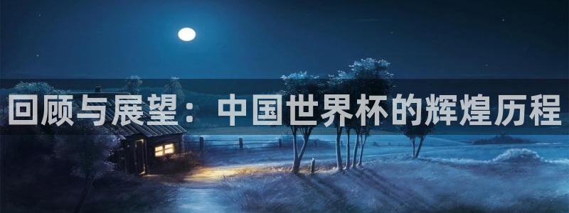2006年世界杯：回顾与展望：中国世界杯的辉煌历程