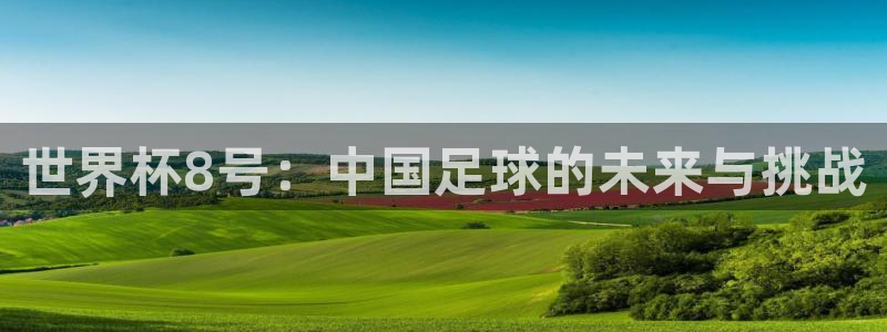 世界杯 2026：世界杯8号：中国足球的未来与挑战