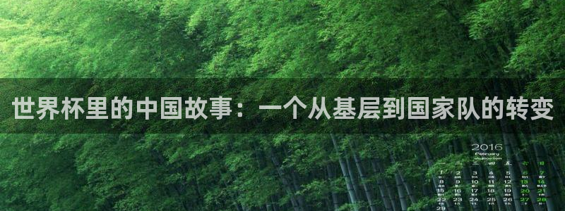 世界杯足球比赛：世界杯里的中国故事：一个从基层到国家队的转变