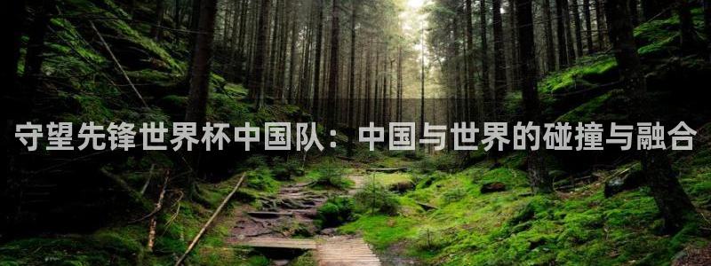 世界杯亚洲区预选赛赛程：守望先锋世界杯中国队：中国与世界的碰撞与融合