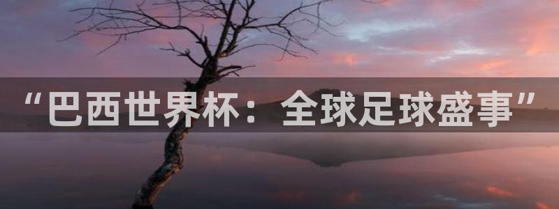 2026世界杯亚洲预选赛：“巴西世界杯：全球足球盛事”