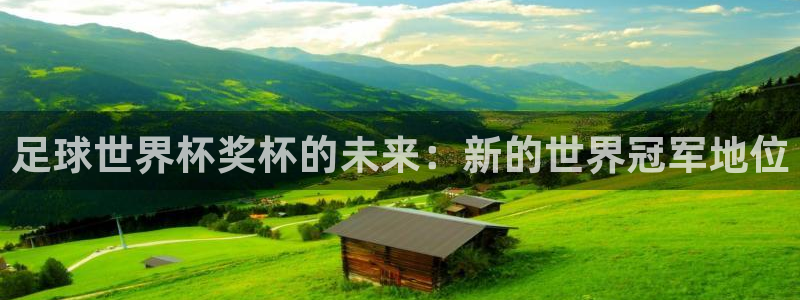 世界杯球赛：足球世界杯奖杯的未来：新的世界冠军地位