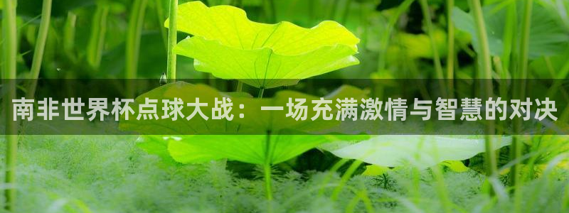 世界杯直播在线观看入口：南非世界杯点球大战：一场充满激情与智慧的对决